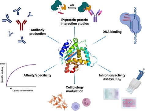 quality of protein reagents